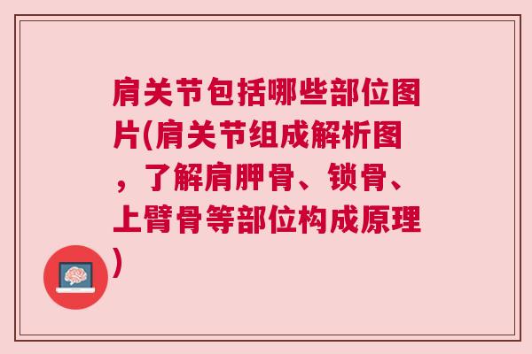 肩关节包括哪些部位图片(肩关节组成解析图，了解肩胛骨、锁骨、上臂骨等部位构成原理)