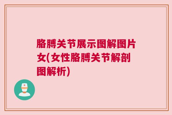 胳膊关节展示图解图片女(女性胳膊关节解剖图解析)