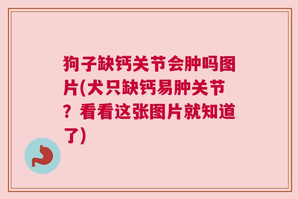 狗子缺钙关节会肿吗图片(犬只缺钙易肿关节？看看这张图片就知道了)