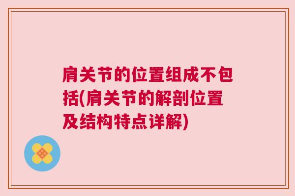 肩关节的位置组成不包括(肩关节的解剖位置及结构特点详解)