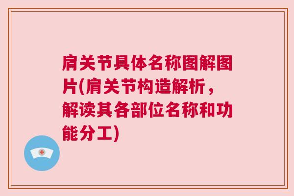 肩关节具体名称图解图片(肩关节构造解析，解读其各部位名称和功能分工)