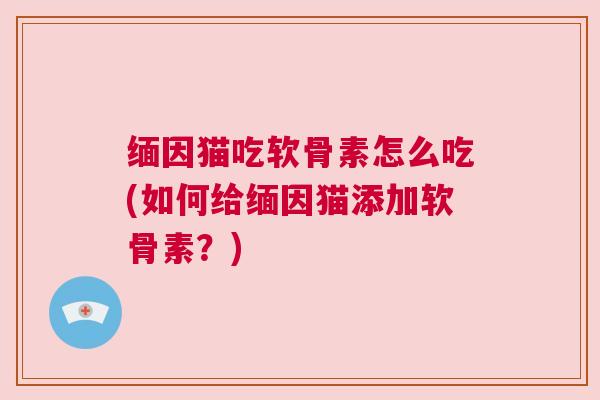 缅因猫吃软骨素怎么吃(如何给缅因猫添加软骨素？)