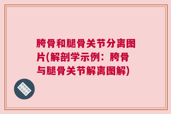 胯骨和腿骨关节分离图片(解剖学示例：胯骨与腿骨关节解离图解)
