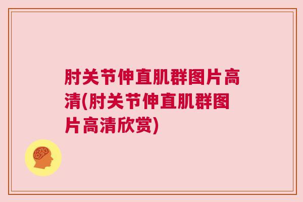 肘关节伸直肌群图片高清(肘关节伸直肌群图片高清欣赏)