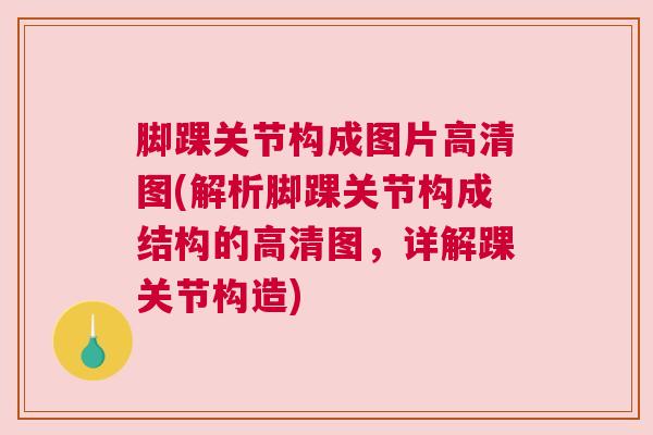 脚踝关节构成图片高清图(解析脚踝关节构成结构的高清图，详解踝关节构造)