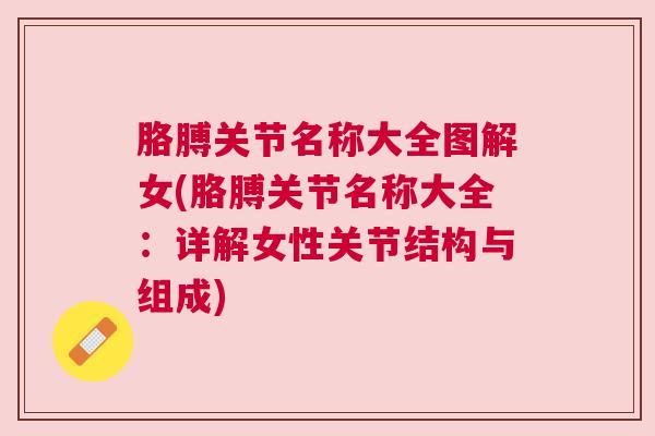 胳膊关节名称大全图解女(胳膊关节名称大全：详解女性关节结构与组成)