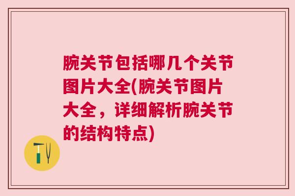 腕关节包括哪几个关节图片大全(腕关节图片大全，详细解析腕关节的结构特点)