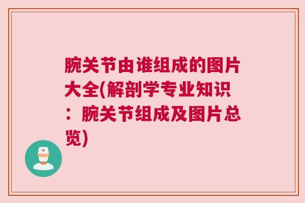 腕关节由谁组成的图片大全(解剖学专业知识：腕关节组成及图片总览)