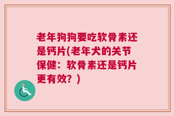 老年狗狗要吃软骨素还是钙片(老年犬的关节保健：软骨素还是钙片更有效？)