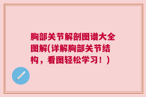胸部关节解剖图谱大全图解(详解胸部关节结构,看图轻松学习!) 胸部关节解剖图谱大全图解(详解胸部关节结构,看图轻松学习!)