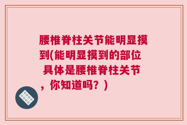 腰椎脊柱关节能明显摸到(能明显摸到的部位 具体是腰椎脊柱关节，你知道吗？)