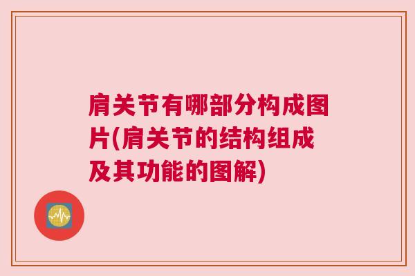肩关节有哪部分构成图片(肩关节的结构组成及其功能的图解)