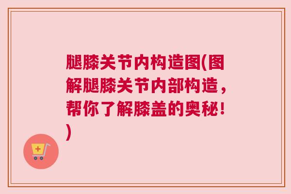 腿膝关节内构造图(图解腿膝关节内部构造，帮你了解膝盖的奥秘！)