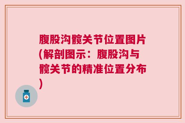 腹股沟髋关节位置图片(解剖图示：腹股沟与髋关节的精准位置分布)