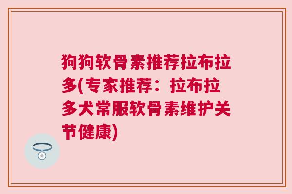 狗狗软骨素推荐拉布拉多(专家推荐：拉布拉多犬常服软骨素维护关节健康)