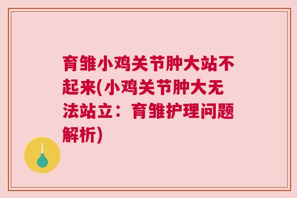 育雏小鸡关节肿大站不起来(小鸡关节肿大无法站立：育雏护理问题解析)