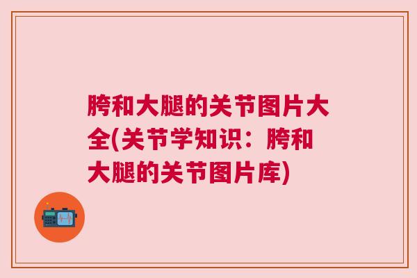 胯和大腿的关节图片大全(关节学知识：胯和大腿的关节图片库)