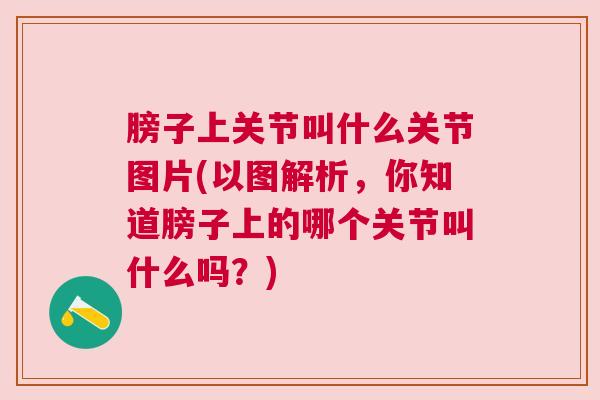膀子上关节叫什么关节图片(以图解析，你知道膀子上的哪个关节叫什么吗？)