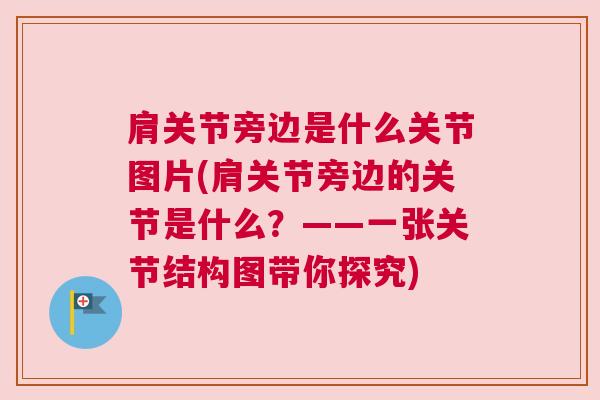肩关节旁边是什么关节图片(肩关节旁边的关节是什么？——一张关节结构图带你探究)
