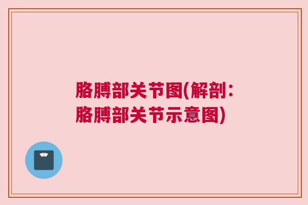 胳膊部关节图(解剖：胳膊部关节示意图)