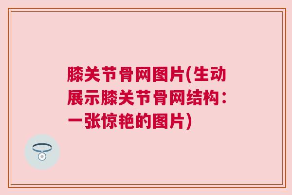 膝关节骨网图片(生动展示膝关节骨网结构：一张惊艳的图片)