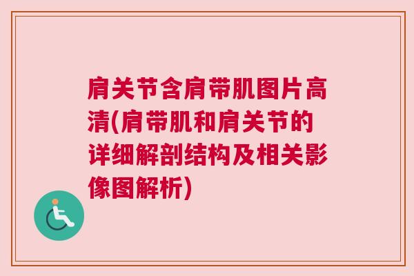 肩关节含肩带肌图片高清(肩带肌和肩关节的详细解剖结构及相关影像图解析)