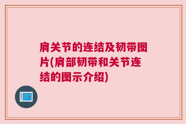 肩关节的连结及韧带图片(肩部韧带和关节连结的图示介绍)