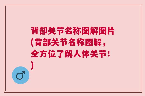 背部关节名称图解图片(背部关节名称图解，全方位了解人体关节！)