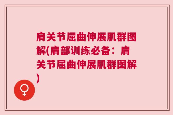 肩关节屈曲伸展肌群图解(肩部训练必备：肩关节屈曲伸展肌群图解)