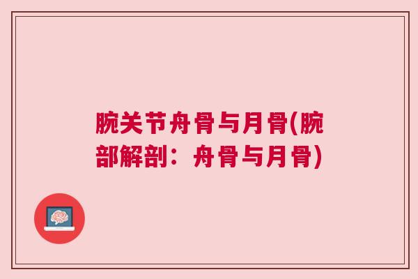 腕关节舟骨与月骨(腕部解剖：舟骨与月骨)