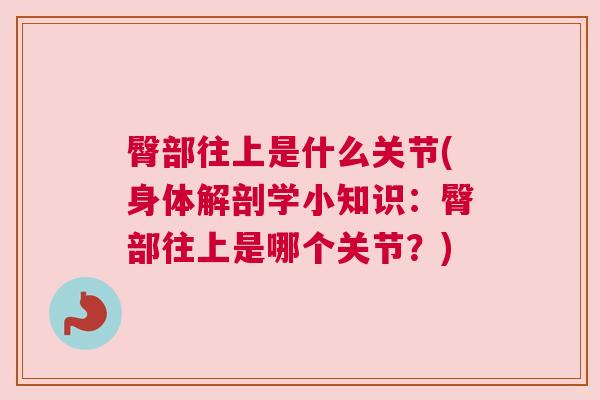 臀部往上是什么关节(身体解剖学小知识：臀部往上是哪个关节？)