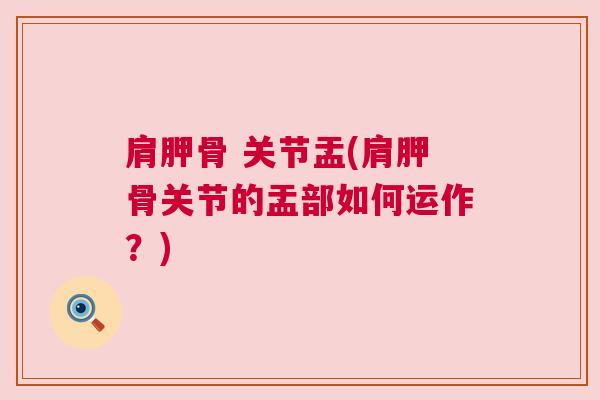 肩胛骨 关节盂(肩胛骨关节的盂部如何运作？)