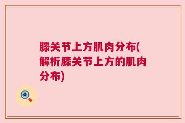 膝关节上方肌肉分布(解析膝关节上方的肌肉分布)