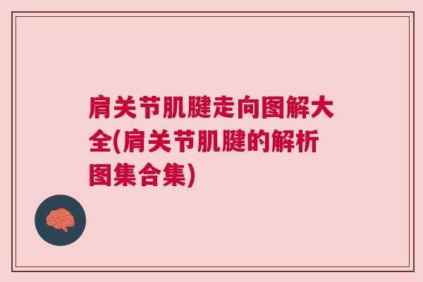 肩关节肌腱走向图解大全(肩关节肌腱的解析图集合集)