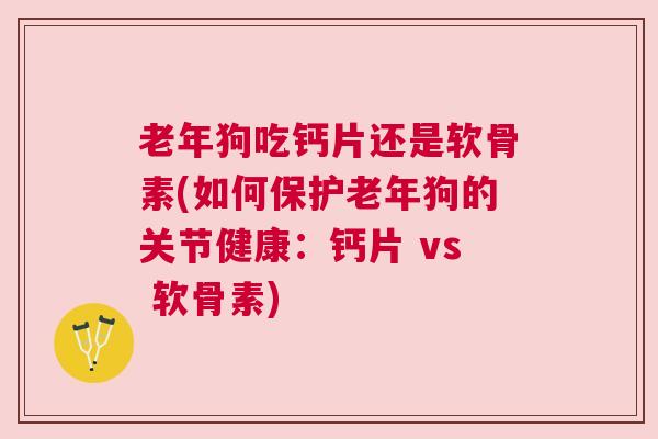 老年狗吃钙片还是软骨素(如何保护老年狗的关节健康：钙片 vs 软骨素)