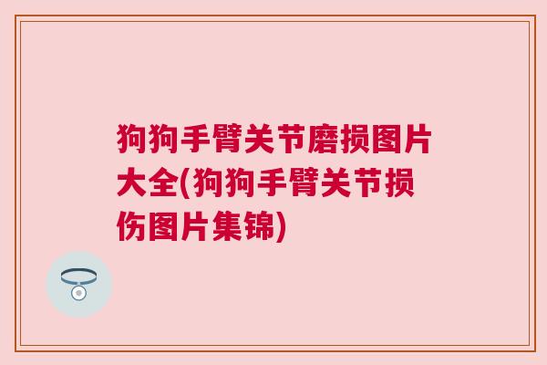 狗狗手臂关节磨损图片大全(狗狗手臂关节损伤图片集锦)