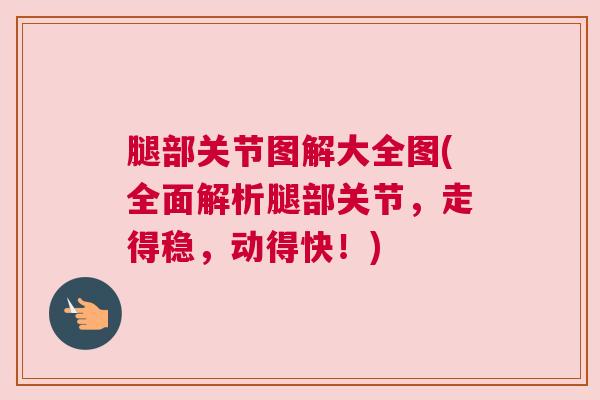 腿部关节图解大全图(全面解析腿部关节，走得稳，动得快！)