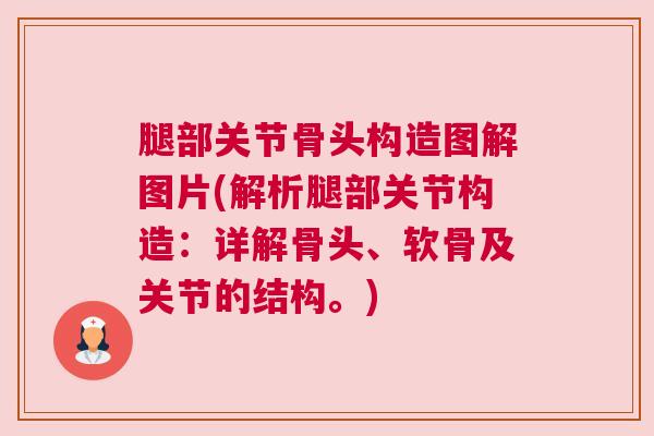 腿部关节骨头构造图解图片(解析腿部关节构造：详解骨头、软骨及关节的结构。)