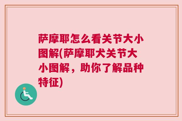 萨摩耶怎么看关节大小图解(萨摩耶犬关节大小图解，助你了解品种特征)