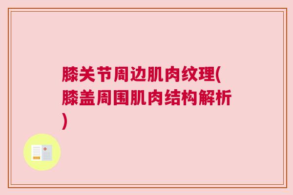 膝关节周边肌肉纹理(膝盖周围肌肉结构解析)
