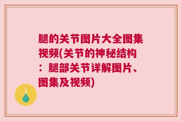 腿的关节图片大全图集视频(关节的神秘结构：腿部关节详解图片、图集及视频)