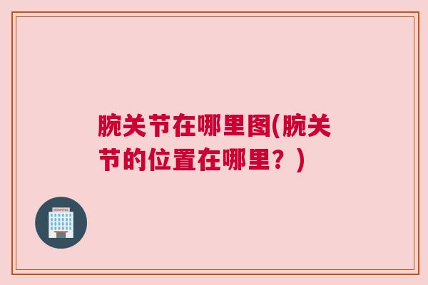 腕关节在哪里图(腕关节的位置在哪里？)
