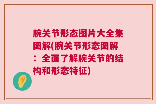 腕关节形态图片大全集图解(腕关节形态图解：全面了解腕关节的结构和形态特征)
