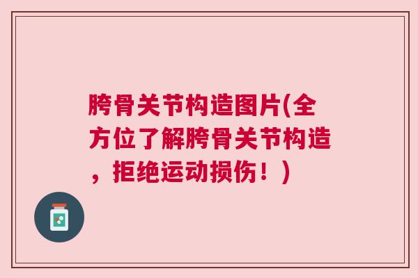 胯骨关节构造图片(全方位了解胯骨关节构造，拒绝运动损伤！)