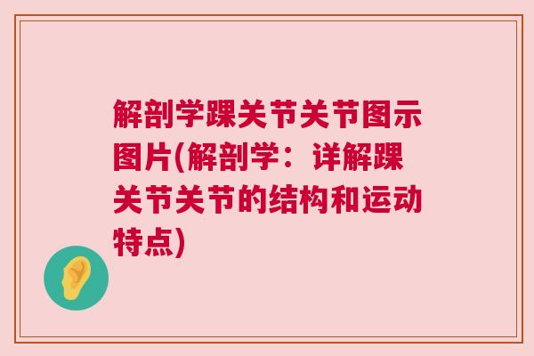 解剖学踝关节关节图示图片(解剖学：详解踝关节关节的结构和运动特点)