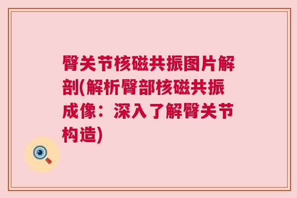 臀关节核磁共振图片解剖(解析臀部核磁共振成像：深入了解臀关节构造)
