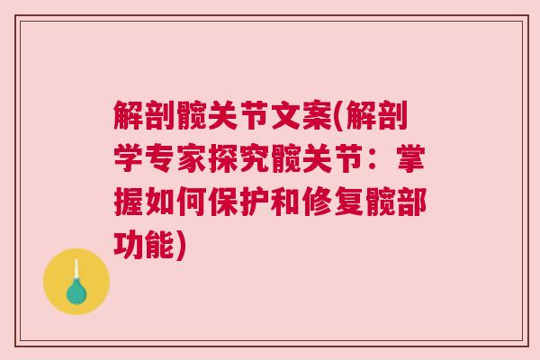 解剖髋关节文案(解剖学专家探究髋关节：掌握如何保护和修复髋部功能)