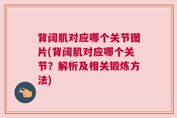 背阔肌对应哪个关节图片(背阔肌对应哪个关节？解析及相关锻炼方法)