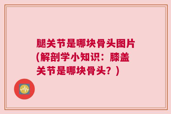 腿关节是哪块骨头图片(解剖学小知识：膝盖关节是哪块骨头？)