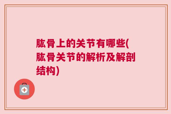 肱骨上的关节有哪些(肱骨关节的解析及解剖结构)